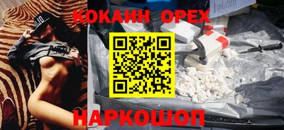 шишки Новодвинск