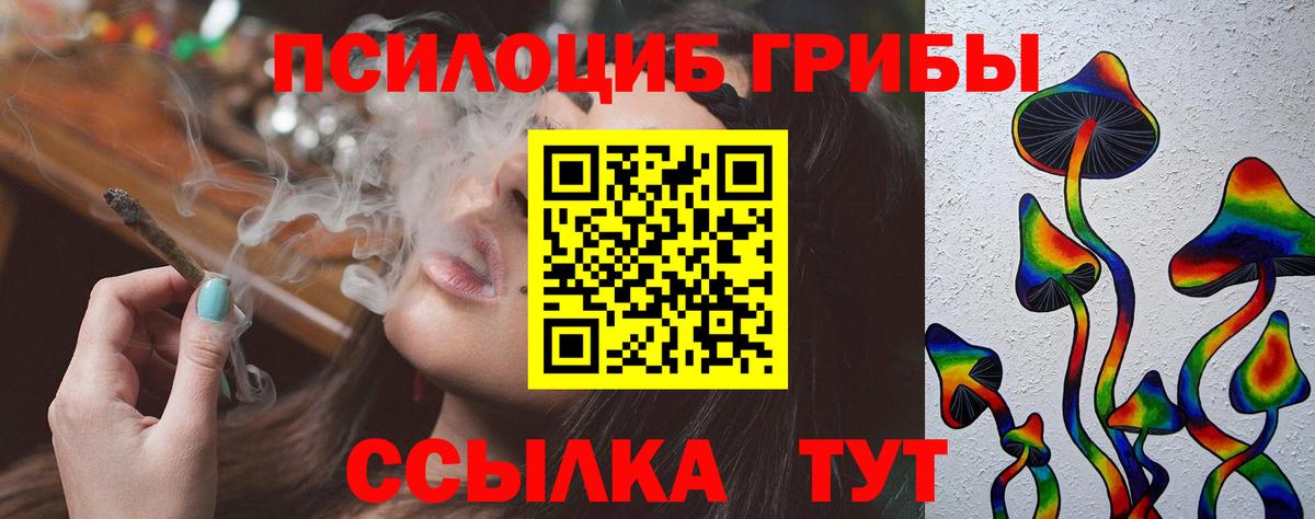 как найти закладки  Вход с VPN  Знаменск  Галлюциногенные грибы мицелий 